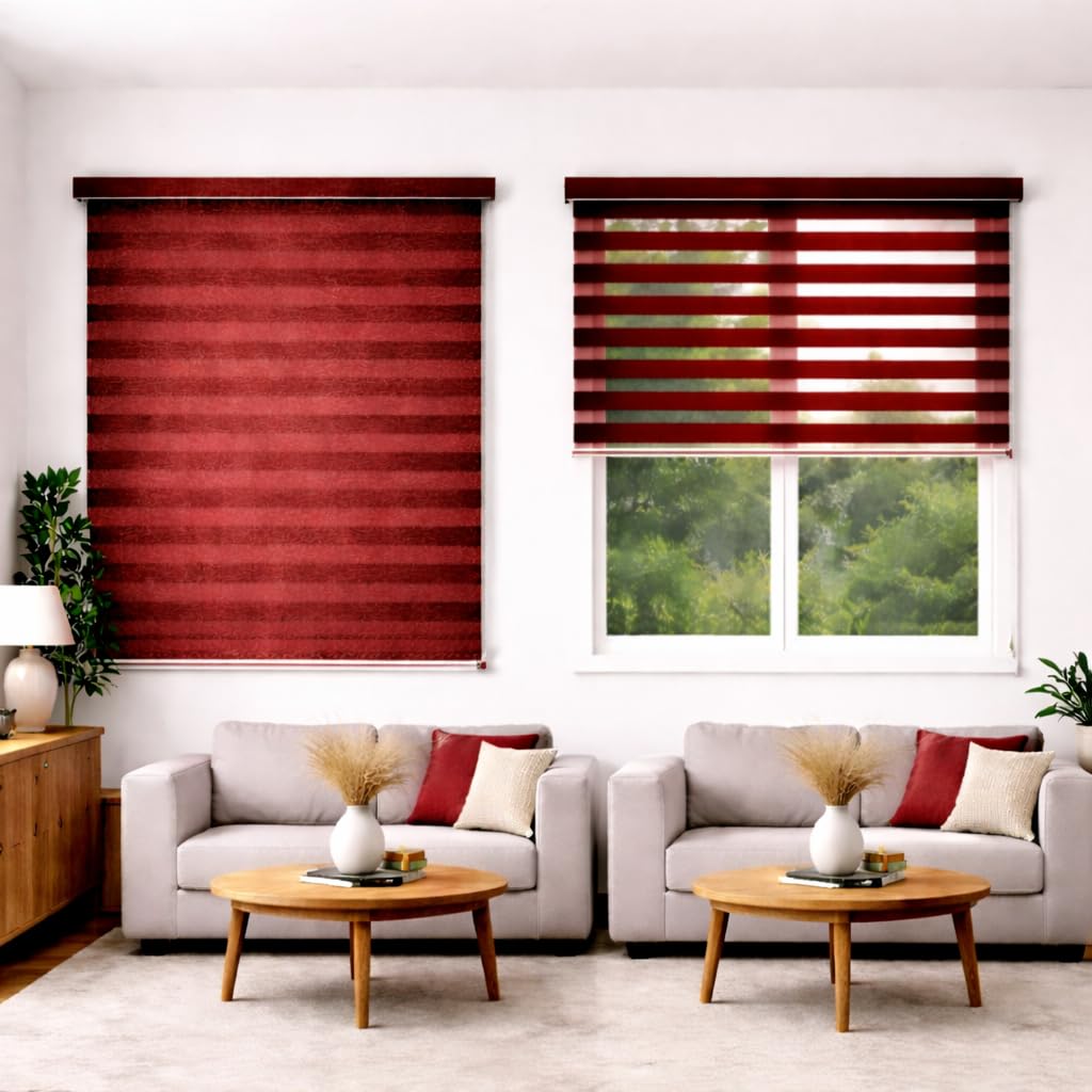 Zebra Blinds for Windows, Dual Layer Roller Shades for Day and Night Privacy, Light Filtering Sheer Blinds for Home and Office, Modern Window Treatments (Multiple Colors & Sizes)