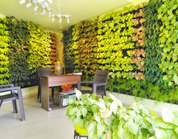 vertical garden